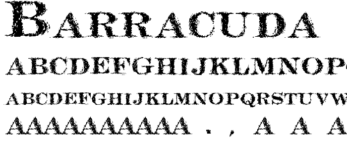 Barracuda font