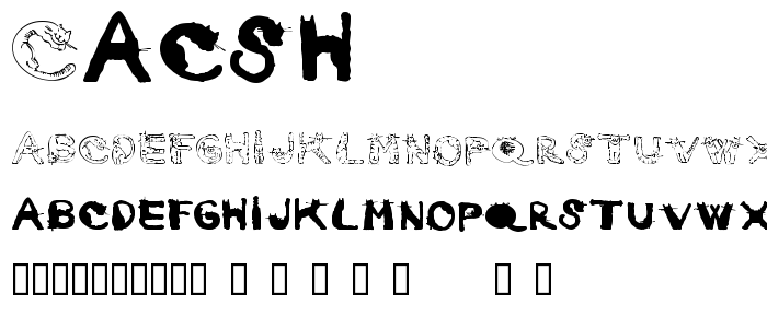 Cacsh font