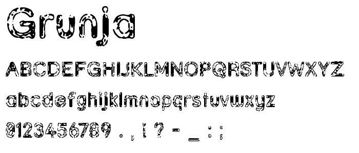 Grunja font